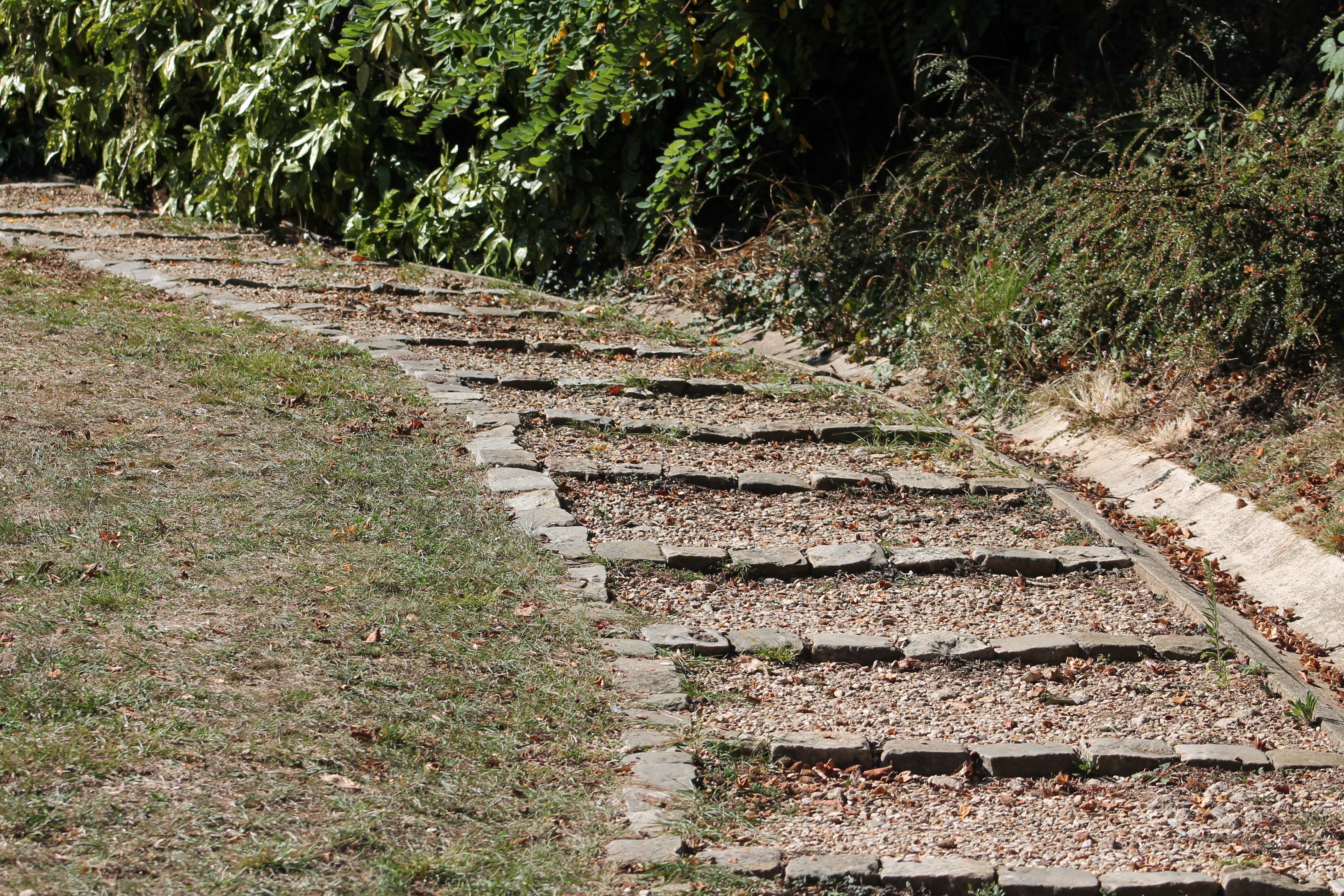 chemin