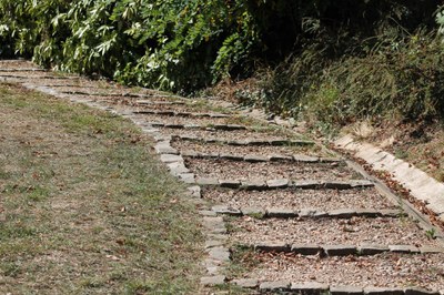 chemin